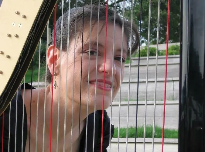 La Du Harpiste Bed and Breakfast Vallons-de-l'Erdre